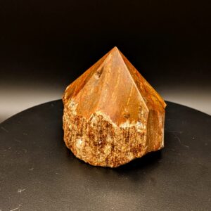 Petrified Wood Incense Holder Fossilized Stone Decoration Multifarious
