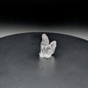 Quartz Wolf Carving Clear Crystal Gemstone Animal Multifarious
